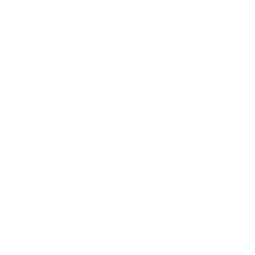 Favicon Dr. Leandro Quirino Branca